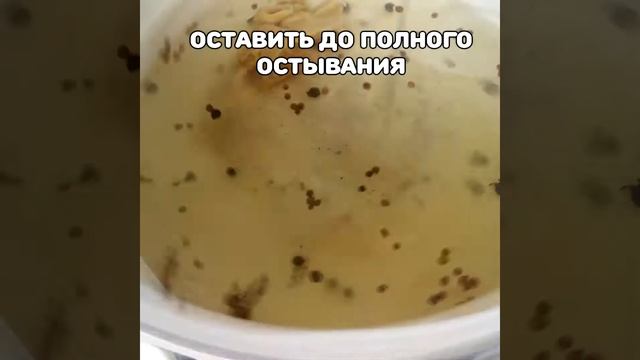 Cкумбрия пряного посола. Как вкусно засолить рыбу?