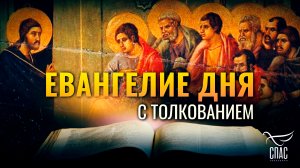 «ЖАТВЫ МНОГО, А ДЕЛАТЕЛЕЙ МАЛО» / ЕВАНГЕЛИЕ ДНЯ