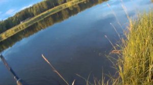 Спиннинг с берега в июле 2020 года р. Багаряк и не отмеченные пруды Челябинской области на карте