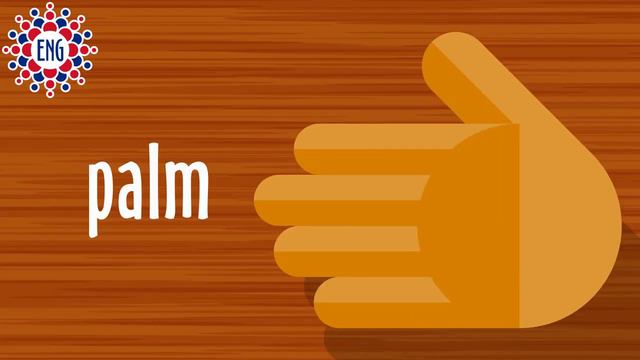 Части тела на английском языке | Для детей и начинающих смотреть онлайн