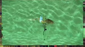 Воблер RAPALA X-Rap Shad Shallow