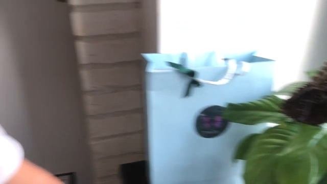 ТРОПИЧЕСКИЕ БАБОЧКИ ДОМА! | Tropical Butterflies At Home!