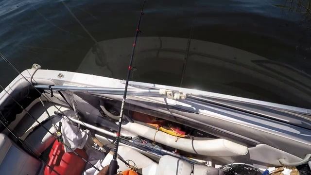 California Delta Spring Redear Part 2 смотреть онлайн