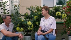 А вы видели лимонадное дерево?