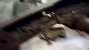 Ремонт Ниссан Террано 2 своими руками ч.1 (восстановление рамы внедорожника)