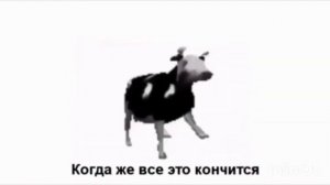 Перевод песни польской коровы (на русском)