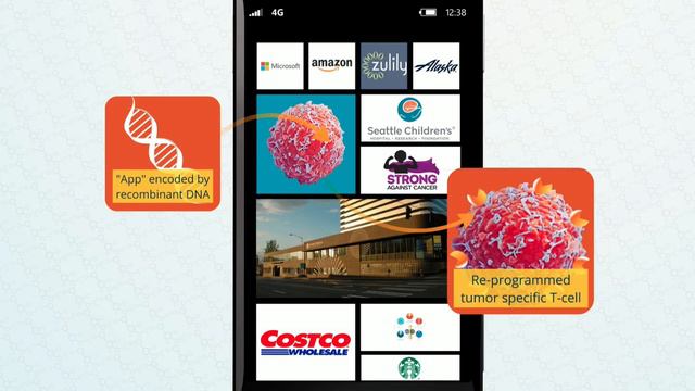 Immune to Cancer | Michael Jensen | TEDxStMarksSchool смотреть онлайн