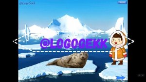 Обзор Животные холодных стран