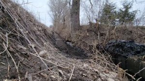 Ditch Cleaning Excavator Action Video! Get Well Soon Todd!!!