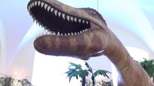 Выставка динозавров и гигантских насекомых открылась в Музее Белорусского Полесья