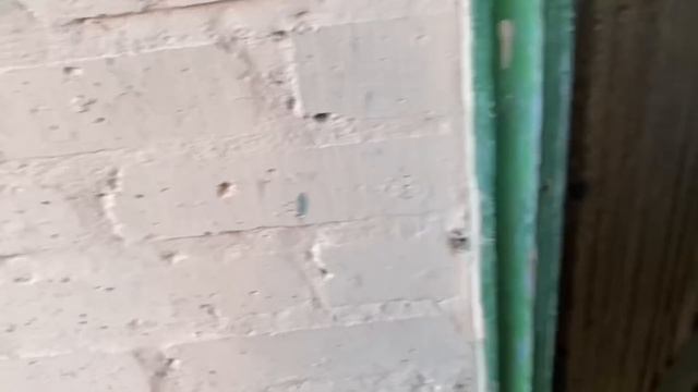 ЖЕНЯ ПЕРЕЕХАЛА/ПАРИМСЯ В САУНЕ С ЖЕНЕЙ/ПЕРЕСЕЛИЛИ  ЦЫПЛЯТ? /ЖЕНЯ ПРИЕХАЛА КО МНЕ В ГОСТИ