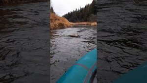 река Сабля осень, перекаты, Новенькое