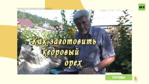 Блогер 70