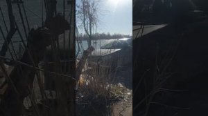 Аксай,рыбалка на плитах 19 февраля 2022