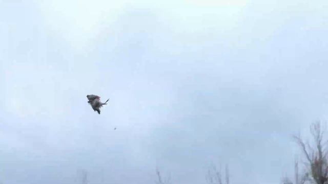 охота на куропатку 2021 смотреть онлайн