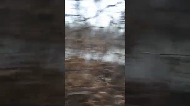 Вечерка с Мещёрском подсадной. смотреть онлайн