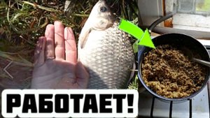 Лучшая каша для кормушки при ловле карася и карпа. Берите на заметку.