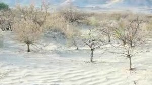 Мелодия моря