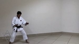 Алгоритмы техники ударов ногами в прыжке.