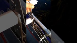 Дистанция газ реверс " РЫБКА"  за 250 рублей !!!