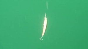 СТРАЙК ПРО Арк минноу обзор воблера strike pro Arc minnow братья щербаковы воблер на щуку окуня тви