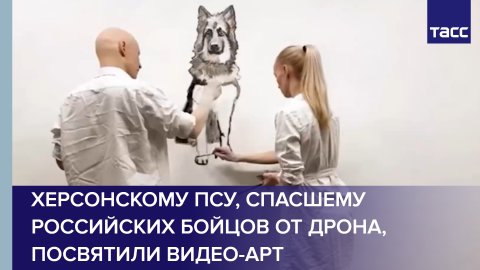 Херсонскому псу, спасшему российских бойцов от дрона, посвятили видео-арт