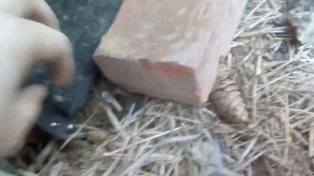 А есть ли под нашим домом фундамент? 21.03.2019 год. 18 + смотреть онлайн