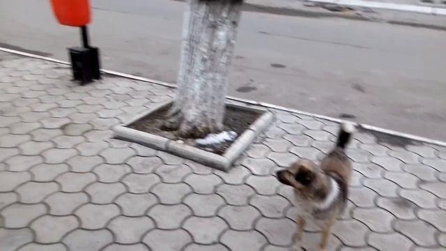 Ира ОПОЗДАЛА НА УРОК И НЕ ПОШЛА В ШКОЛУ смотреть онлайн