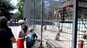 Олег Зубков принимает Галину Перелович с делегацией. Тайган (архив)