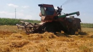 Комбайн "СК 5 Нива" восстановлен с того света)))