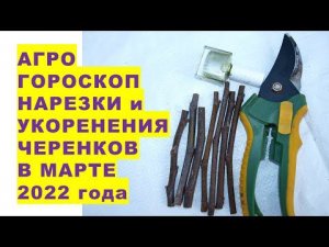 Агрогороскоп нарезки и укоренения черенков цветочных и садовых растений в марте 2022 года