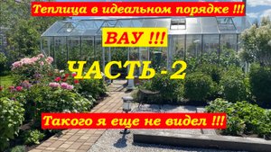 Теплица с томатами и огурцами в идеальном порядке! Вау!!! Такого я еще не видел !!! ЧАСТЬ-2.
