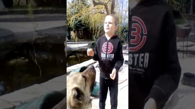 Как научить собаку гавкать чипсами и хлебом ответ тут смотреть онлайн