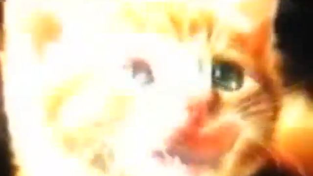 ...Не больше наперстка. смотреть онлайн