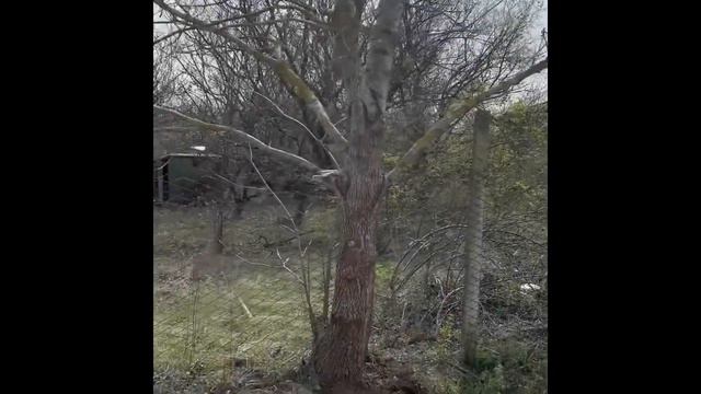 Анапа.СНТ «Здоровье» 2020год. смотреть онлайн