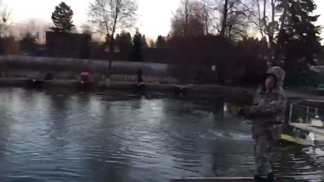 Ловля форели на спиннинг РК Фишка Липки 17 ноября смотреть онлайн