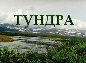 Окружающий мир Тундра Арктика Ледяная зона