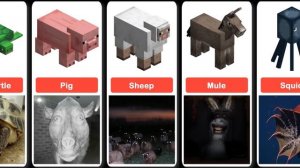 Scary Minecraft animals in real life – Comparison