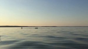 Гидрофоил v3