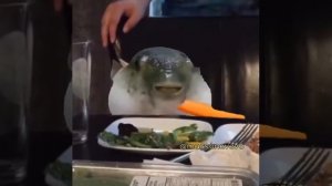 Pufferfish Just Eating (meme)