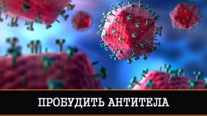 ПРОБУДИТЬ АНТИТЕЛА СПАСИТЕЛЬНЫЙ РИТУАЛ ДЛЯ ВСЕХ