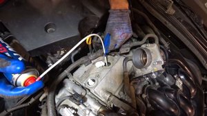 Раскоксовка  lavr complex + Gzox  3GR-FSE