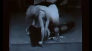 4000Hz  "Catfight"     (By Steven W.)