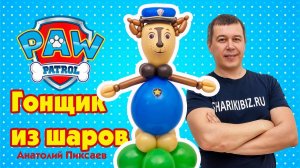 Гонщик из мультфильма Щенячий патруль