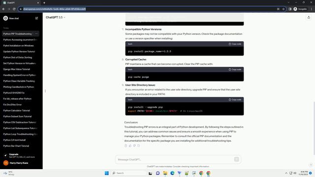 Python PIP causes error