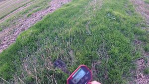 Minelab Ванквишь 340 ( первый коп с этим прибором) #16