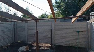 Свинарник Из Евро Забора ,Самый Дешёвый Сарай Для Свиней