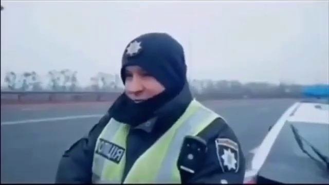 Три вида полицейских