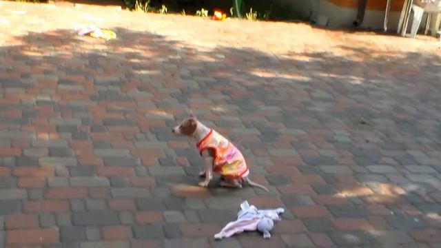 my  wonderful AHT смотреть онлайн