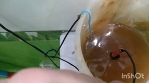 Чистка монет гидролизом